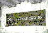 12.bmp