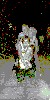 11.gif
